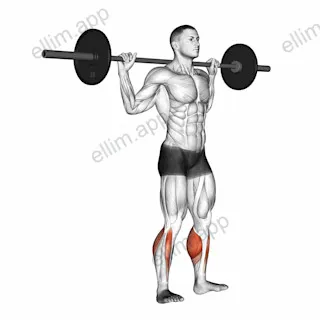 Barbell Standing Rocking Leg Calf Raise exercise targeting Calves and Gastrocnemius