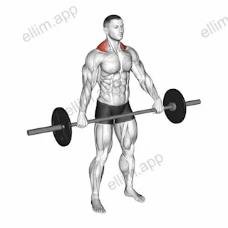 Barbell Standing Snatch Grip Shrug exercise targeting Back