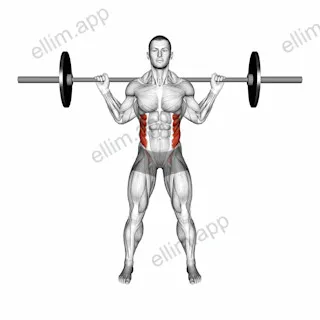 Barbell Standing Twist exercise targeting Waist and Obliques