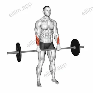 Barbell Standing Wrist Reverse Curl exercise targeting Forearms