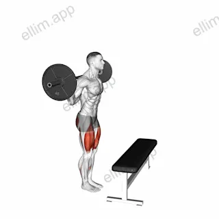 Barbell Step up exercise targeting Thighs