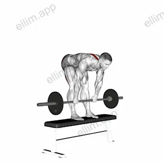 Barbell Stiff Leg Deadlift on Bench exercise targeting Hips
