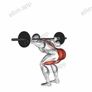 Barbell Stiff Leg Good Morning exercise targeting Thighs and Erector Spinae