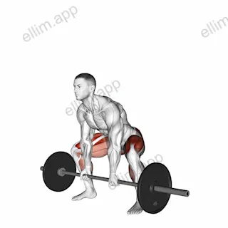 Barbell Sumo Deadlift exercise targeting Hips and Gluteus Maximus