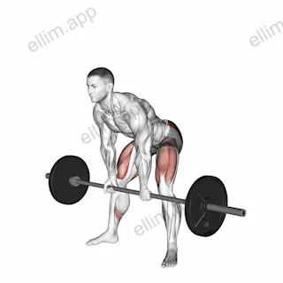 Barbell Sumo Romanian Deadlift exercise targeting Hips and Erector Spinae