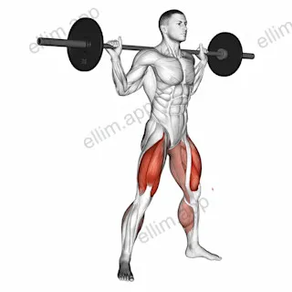 Barbell sumo squat exercise targeting Thighs and Gluteus Maximus