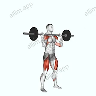 Barbell Thruster exercise targeting Deltoid Anterior and Gluteus Maximus