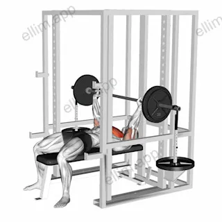 Barbell Weighted Bench Press exercise targeting Chest and Pectoralis Major Clavicular Head