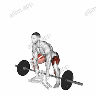 Barbell Weighted Chains Sumo Deadlift exercise targeting Hips