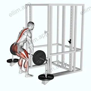 Barbell Weighted Deadlift exercise targeting Hips and Gluteus Maximus