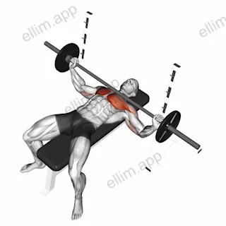 Barbell Wide Bench Press exercise targeting Chest and Pectoralis Major Sternal Head