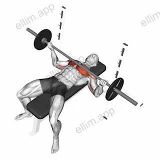 Barbell Wide Reverse Grip Bench Press exercise targeting Chest and Pectoralis Major Sternal Head