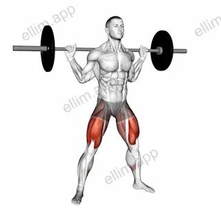 Barbell Wide Squat exercise targeting Thighs and Quadriceps