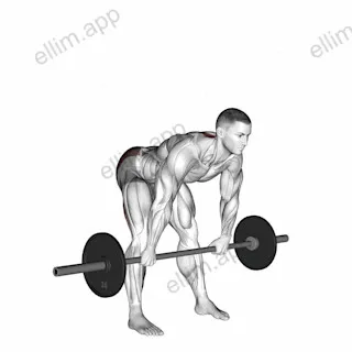 Barbell Wide Stance Stiff Leg Deadlift exercise targeting Hips