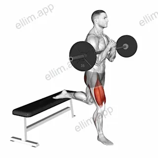 Barbell Zercher Bulgarian Split Squat exercise targeting Thighs