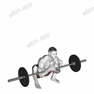Barbell Zercher Deadlift exercise targeting Hips