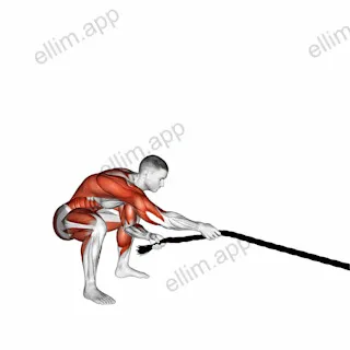 Battling Rope Pull exercise targeting Plyometrics