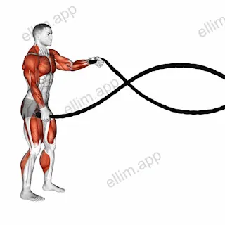 Battling Ropes Alternate Arms Squat exercise targeting Back and Chest