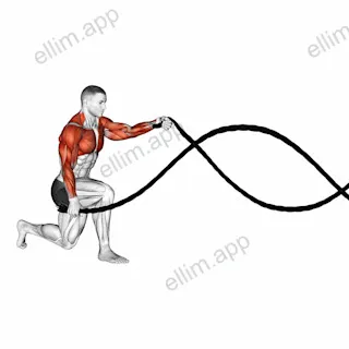 Battling Ropes Half Kneeling exercise targeting Cardio