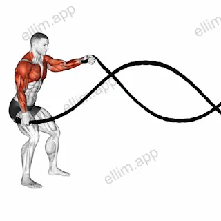 Battling Ropes High Waves exercise targeting Back and Chest