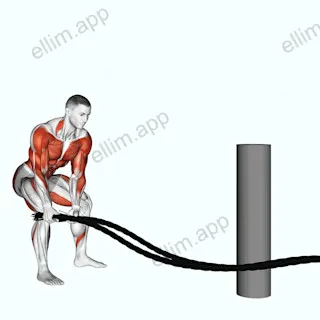 Battling Ropes Side Raise exercise targeting Plyometrics
