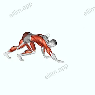 Bear Crawl exercise targeting Cardio