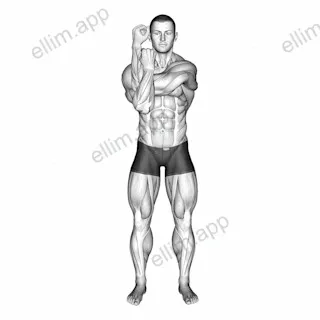 Bent Arm Shoulder Stretch exercise targeting Shoulders