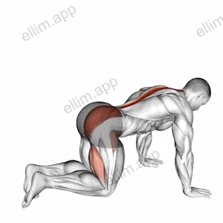 Bent Knee Back to Side Kick exercise targeting Hips and Erector Spinae
