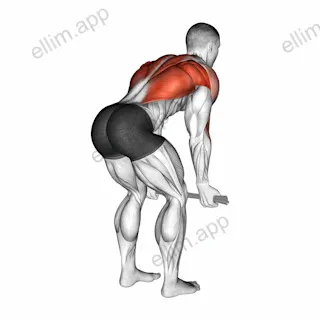 Bent over Row with Towel exercise targeting Back