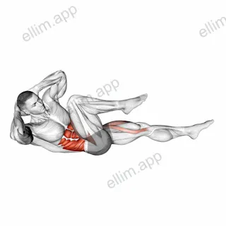 Bicycle Crunch exercise targeting Waist