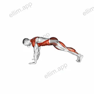 Bird Dog Plank exercise targeting Waist