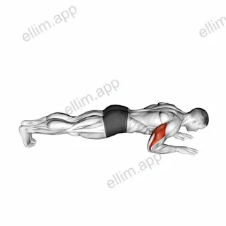 Body Up exercise targeting Upper Arms