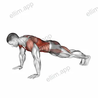 Bodyweight Front Plank to Downward Dog exercise targeting Plyometrics