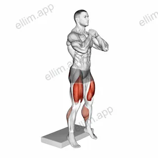 Bodyweight Heel Elevated Squat exercise targeting Thighs