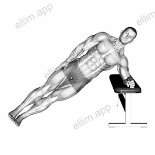 Bodyweight Incline Side Plank exercise targeting Waist and Obliques