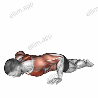 Bodyweight Kneeling Push-up Row exercise targeting Chest and Infraspinatus