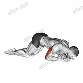 Bodyweight Kneeling Triceps Extension exercise targeting Upper Arms and Triceps Brachii