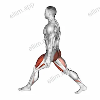 Bodyweight Low Split Squat exercise targeting Thighs