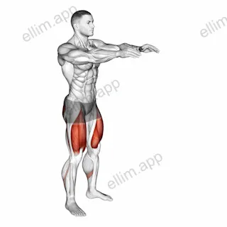 Bodyweight Pulse Squat exercise targeting Gluteus Maximus and Quadriceps