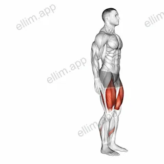 Bodyweight Rear Lunge exercise targeting Thighs and Gluteus Maximus