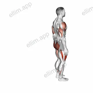 Bodyweight Reverse Lunge with Overhead Reach exercise targeting Thighs