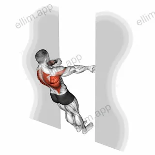 Bodyweight Row in Doorway exercise targeting Back and Infraspinatus