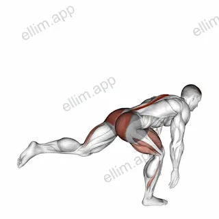 Bodyweight Single Leg Deadlift exercise targeting Thighs and Gluteus Maximus