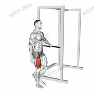 Bodyweight Single Leg Squat with Support exercise targeting Thighs