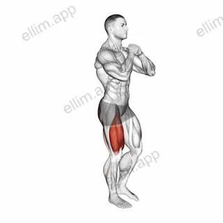 Bodyweight Single Leg Squat exercise targeting Thighs