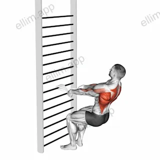 Bodyweight Squatting Row (with towel) exercise targeting Back and Infraspinatus