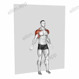 Bodyweight Standing Around World Wall Supported exercise targeting Shoulders and Deltoid Anterior