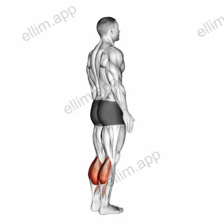 Bodyweight Standing Calf Raise exercise targeting Calves and Gastrocnemius