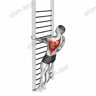 Bodyweight Standing Close-grip One Arm Row exercise targeting Back and Infraspinatus