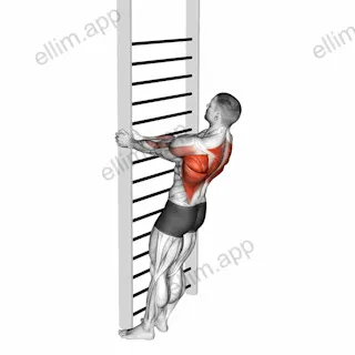 Bodyweight Standing Close-grip Row exercise targeting Back and Infraspinatus